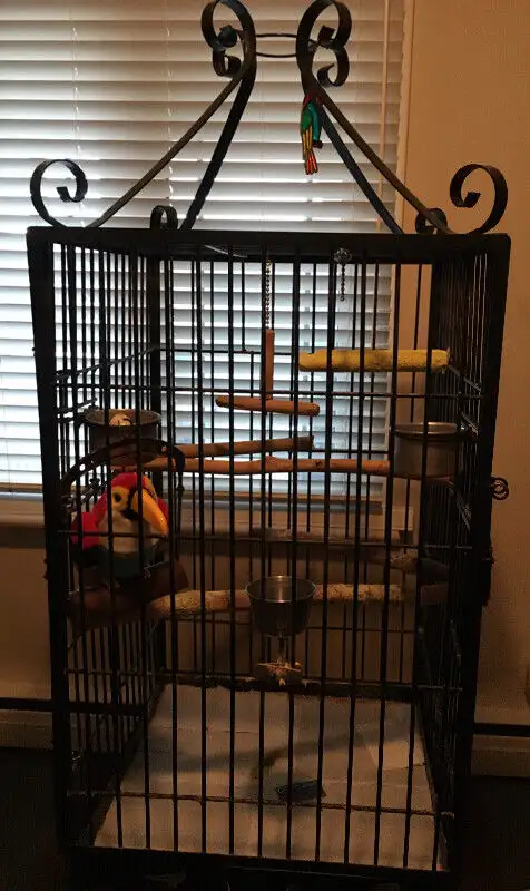 Großer Gusseisen-Käfig für Papageien 2 Großer Gusseisen-Käfig für Papageien - Image 2