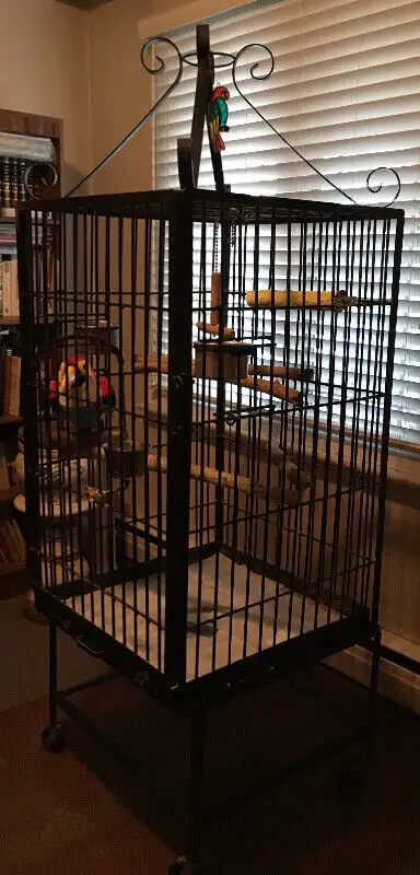 Großer Gusseisen-Käfig für Papageien 3 Großer Gusseisen-Käfig für Papageien - Image 3