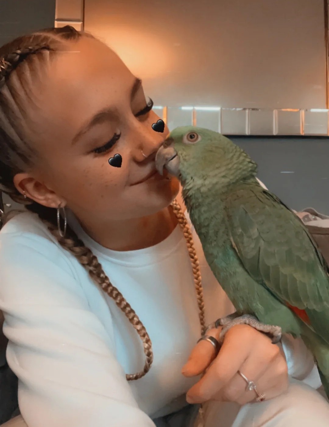 Gelbnackenamazone „Fred“ – 3 Jahre, handzahm, sprechend, voll befiedert 2 Gelbnackenamazone „Fred“ – 3 Jahre, handzahm, sprechend, voll befiedert - Image 2