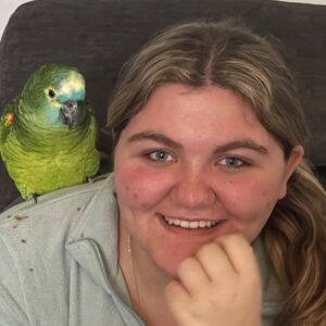 blaustirnamazone zu verkaufen europa